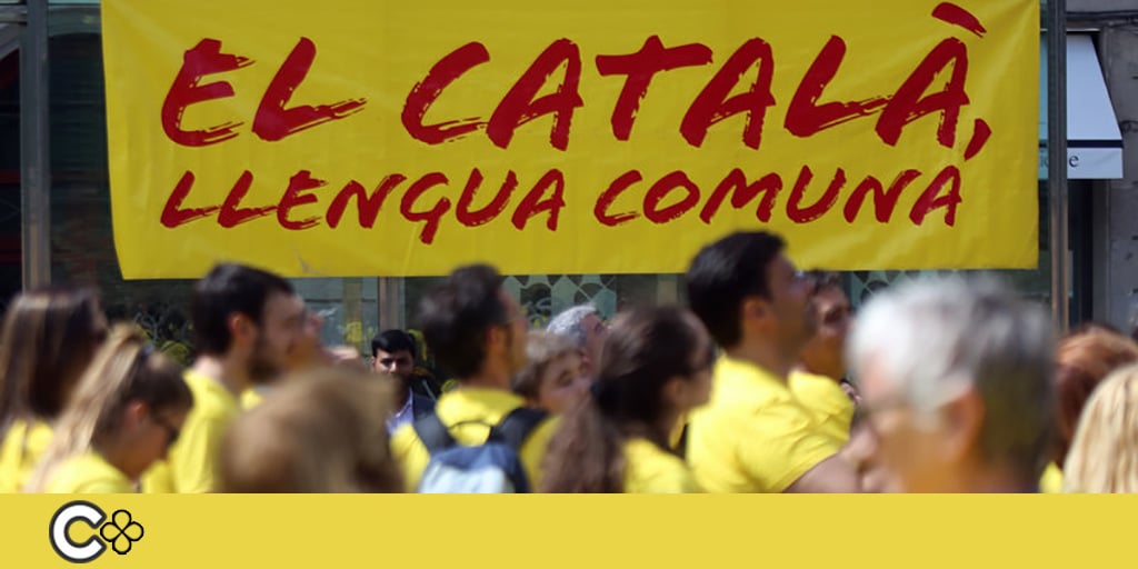A debat al ple la defensa de la unitat del català - Calella Comunicació