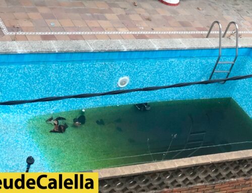 Coloms morts i mosquits tigre a l’aigua estancada de la piscina d’un hotel tancat