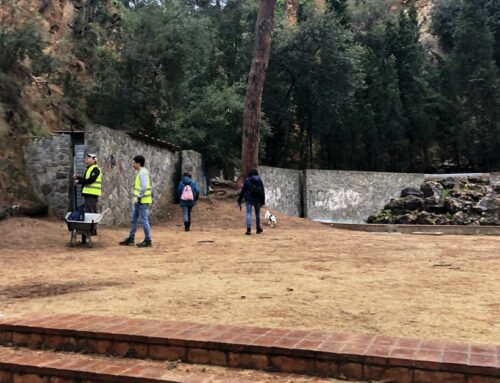 Els Amics del Parc Dalmau aconsegueixen colar la inversió de la bassa de la pedrera al pressupost