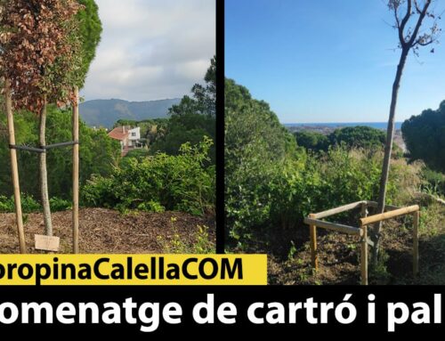 Homenatge de cartró i palla
