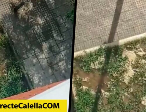 Interromput el subministrament d’aigua al carrer Joan Fuster i Ortells per una avaria