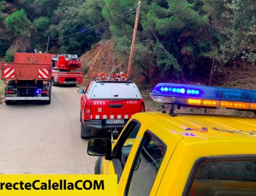 Un nou arbre caigut talla la carretera d’accés a Can Carreras