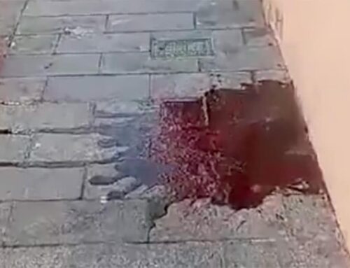 El sospitós bassal de sang al carrer Jovara que ningú sap d’on surt