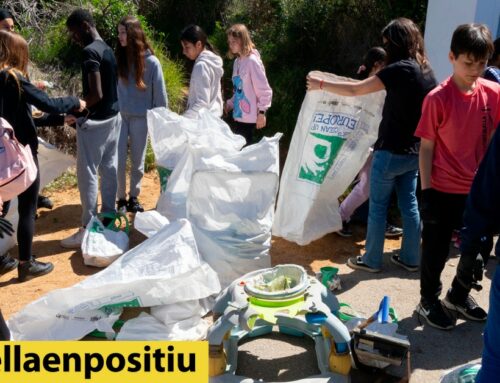 Uns 250 alumnes calellencs recullen residus llençats al medi natural de la ciutat