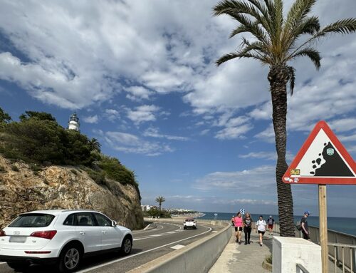 L’Ajuntament talarà dues palmeres situades a l’N-II pel risc de caiguda