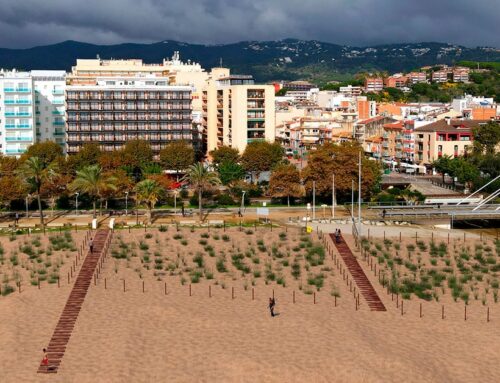 La Platja Gran i la de Garbí es naturalitzaran per protegir la biodiversitat