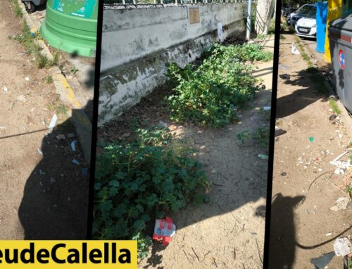 Brutícia i poca cura del Passeig de les Roques