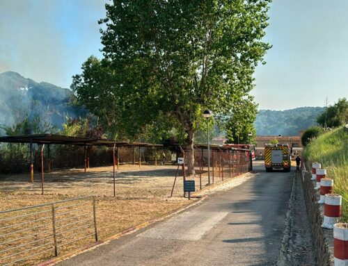 Ensurt per un incendi de canyes a prop de la residència La Maresma