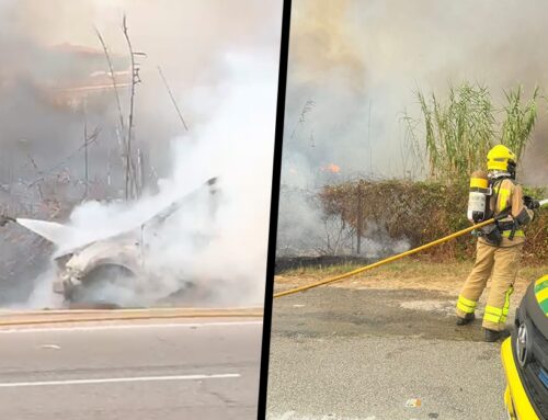 L’incendi d’un cotxe al voral de la sortida de l’autopista crema les canyes de la zona