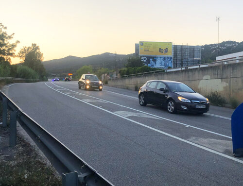 Més il·luminació, tancaments perimetrals i senyals: ERC porta al Parlament el perill dels senglars a l’accés de l’autopista