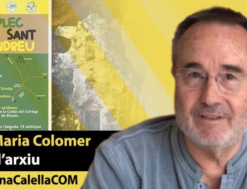 Sant Andreu de l’Arboceda