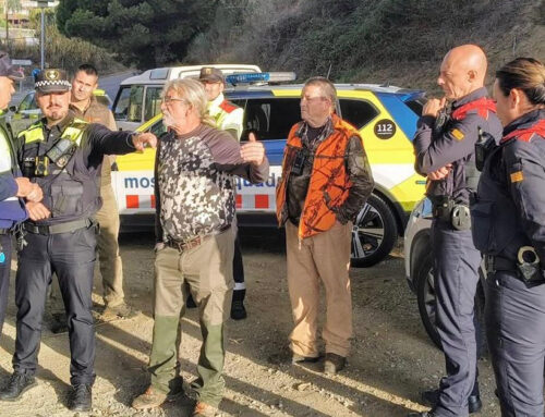 Primera batuda de senglars a Calella entre la carretera d’Hortsavinyà i la C-32