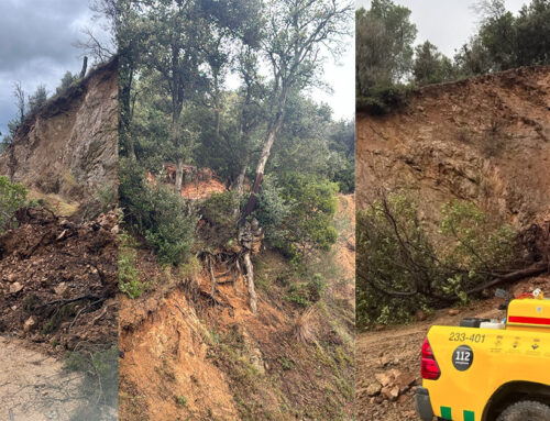 Un arbre amenaça amb caure a la carretera d’Hortsavinyà degut a les pluges