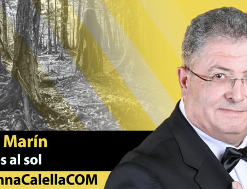 La soledad del bosque