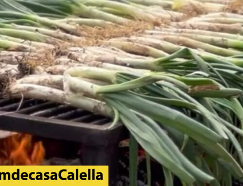 Gent de Barri Pequín celebra una calçotada popular aquest dissabte