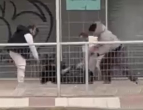 Una agressió davant dels Toyca acaba amb un ferit lleu