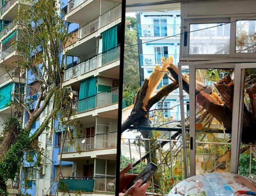 Cau un arbre de més de 10 metres sobre un bloc de pisos dels Codina deixant almenys tres habitatges afectats