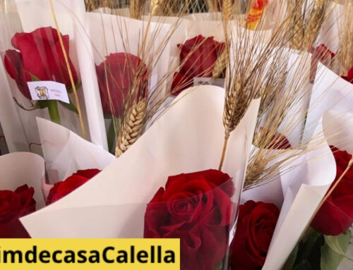 Calella celebra Sant Jordi amb la Fira del Llibre i la Rosa, tallers i gegants