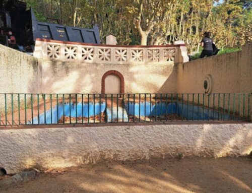 Tornen les oques a la bassa del Parc Dalmau en una recuperació simbòlica