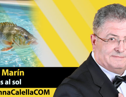 Terror en la piscina