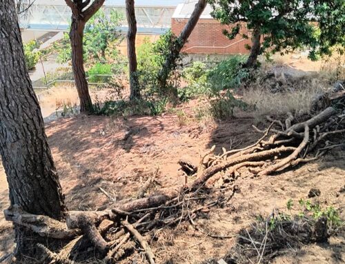 Un petit incendi afecta el Parc Dalmau