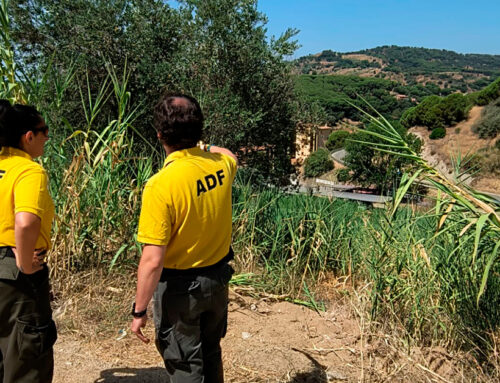 És Calella una ciutat segura davant dels risc d’incendis?