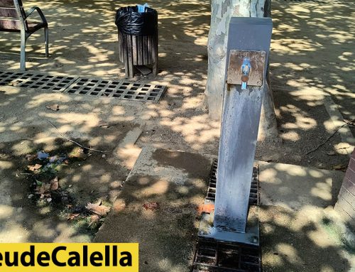 Queixes per la humitat de la font d’aigua davant del Monument de la Sardana