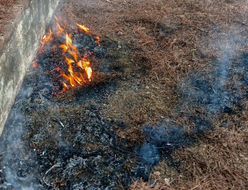 Dos incendis en un mateix matí al Parc Dalmau encenen les alarmes